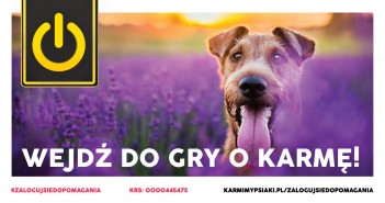 Wejdź do gry o karmę! Od teraz każdy może pomóc!