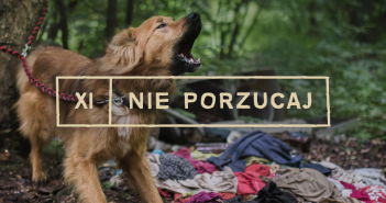 Dlaczego prozwierzęca fundacja porzuciła psa?